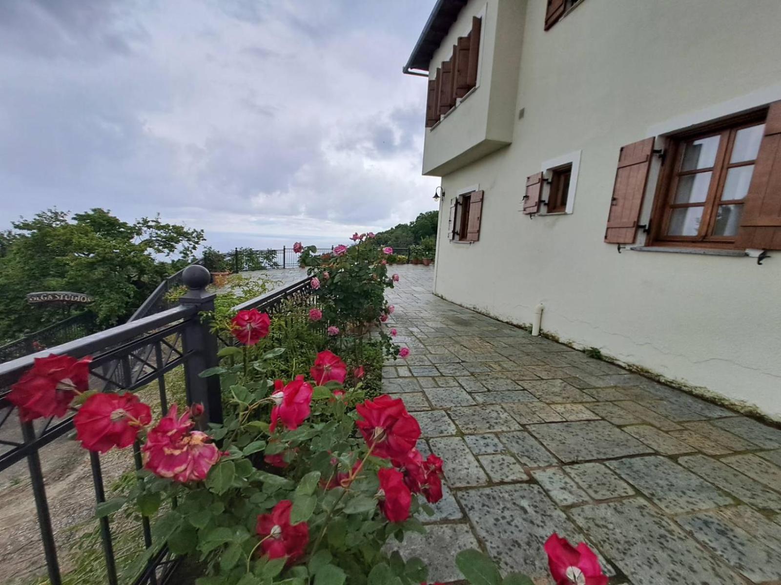 Olga Studios Tsagarada Exterior photo